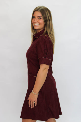 The Wildcat Suede Pleated Dress
