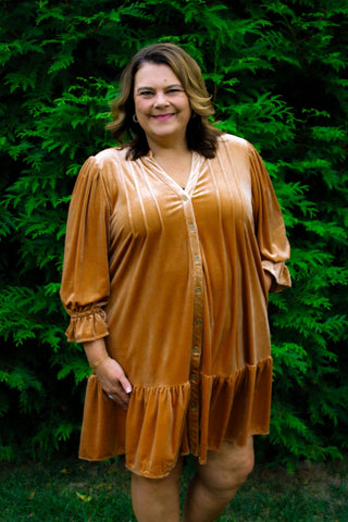 Velvet Enchantment Dress/Curvy - Trudy's Trendy Boutique