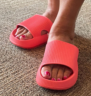 Coral Slides