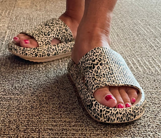 Cheetah Slides
