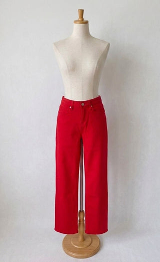 Mica High Rise Straight Fit Lava/Curvy - Trudy's Trendy Boutique